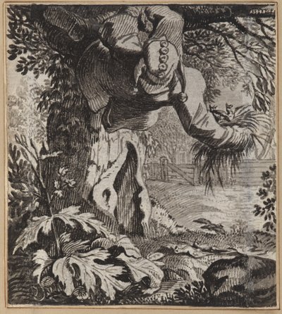 Den dristige narren av Wilhelm Stettler