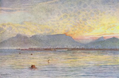  av Wilhelm Westhofen