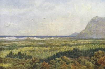  av Wilhelm Westhofen