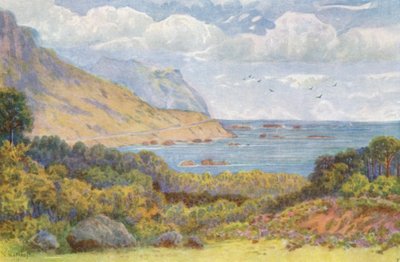  av Wilhelm Westhofen