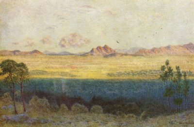  av Wilhelm Westhofen