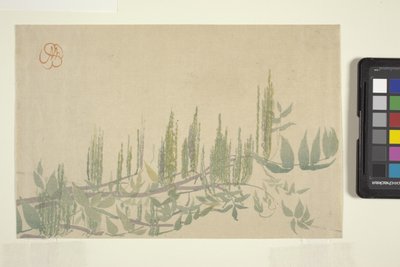 Wisteria, ca. 1908 (farget treblokktrykk) av Wilhelmina Seegmiller