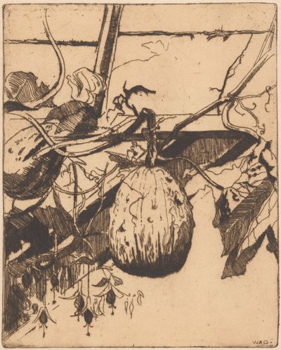 Kalebass ikke fuchsia av Willem Adrianus Grondhout