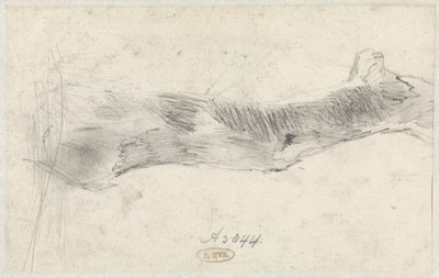Studie av et tre av Willem Anthonie van Deventer