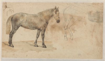 Studier av en hest av Willem Carel Nakken