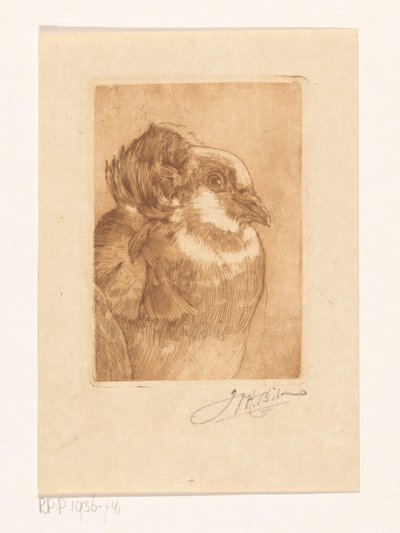 Studie av en due av Willem Hendrik Bik (signed by artist)