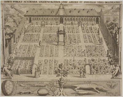 Den botaniske hagen i Leyden av Willem Isaaksz Swanenburgh