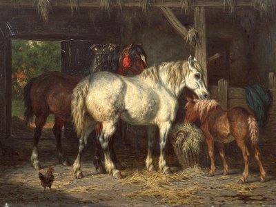  av Willem Jacobus Boogaard