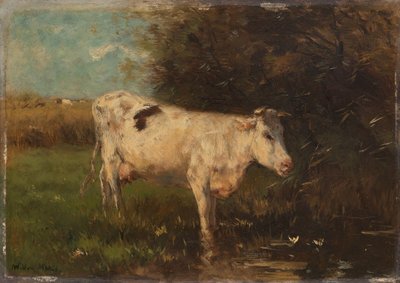 Hvit ku av Willem Maris
