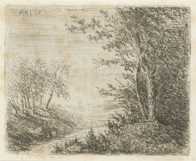 Kupert landskap med bekk av Willem Matthias Jan van Dielen