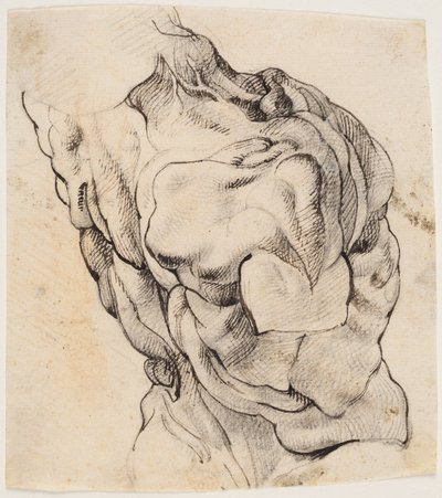 Anatomisk studie (écorché). Torso av en flådd mann sett fra baksiden vendt mot høyre av Willem Panneels