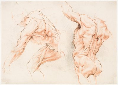 To anatomiske studier av en mann som lener seg til venstre og en annen sett bakfra med løftet arm (écorché) av Willem Panneels