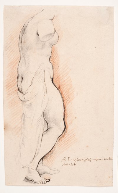 Venus. Antikk statue sett fra høyre av Willem Panneels