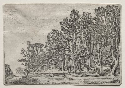 Settet av landskapene: To plankehekker av Willem Pietersz Buytewech