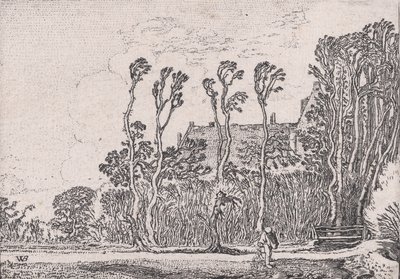 Såmannen, fra Verscheyden Landtschapjes Various Little Landscapes, Plate 5, ca. 1616. av Willem Pietersz. Buytewech