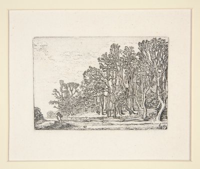 To plankehekker, Plate 6 fra The Set of the Landscapes av Willem Pietersz. Buytewech
