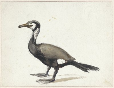 Skarv av Willem Roelofs (I)