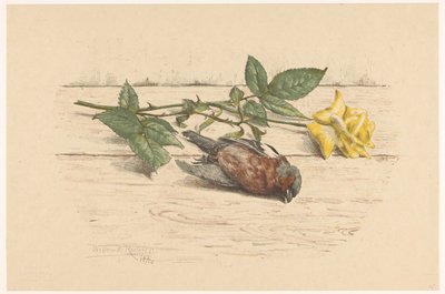 Død fink som ligger ved siden av en rose av Willem Roelofs (II) (signed by artist)