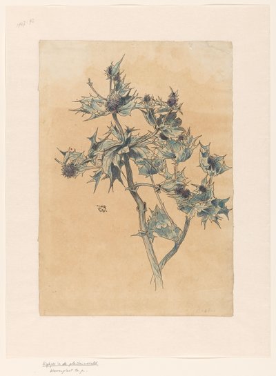 tistler av Ludwig Willem Reymert Wenckebach