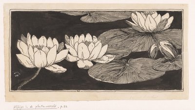 vannliljer av Ludwig Willem Reymert Wenckebach