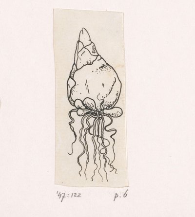 blomsterløk av Willem Wenckebach