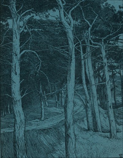 Woodland, c1912 av Willem Wenckebach