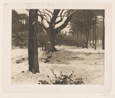 Snødekt skogslandskap i Ede av Willem Witsen (signed by artist)