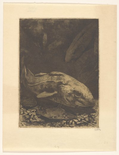 Fisk og vannplanter av Willem Witsen (signed by artist)