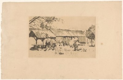 Uthus i naturen på Java av Willem Arnoldus Witsen