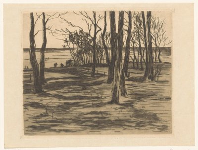 Trær ved vannkanten i Valkeveen av Willem Arnoldus Witsen