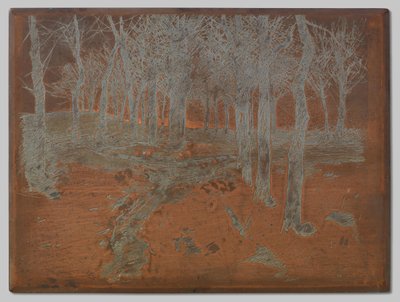 Skog i Ewijkshoeve av Willem Arnoldus Witsen