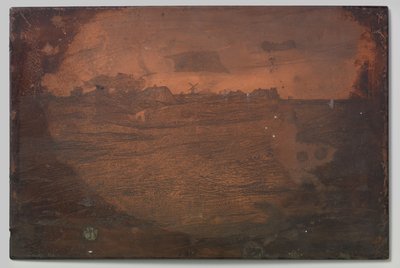 myrland av Willem Arnoldus Witsen