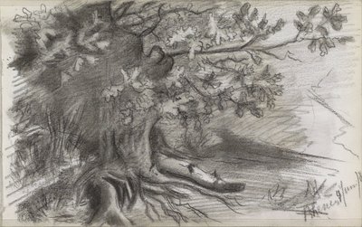 Landskap med et stort tre i Rhenen av Willem Arnoldus Witsen