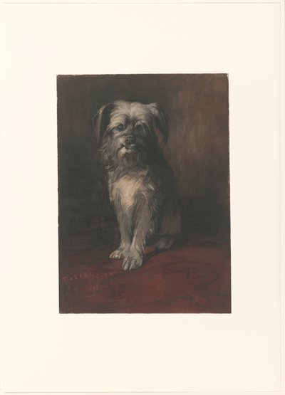 Portrett av hunden Phoebus av Willem Arnoldus Witsen