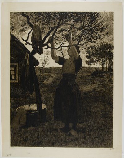 Epletreet av Willem Arnoldus Witsen