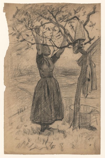 Kvinne henger tøyet i et tre, til høyre av Willem Arnoldus Witsen