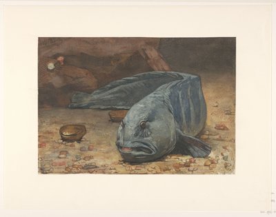 Ulvefisk på bunnen av et akvarium av Willem Arnoldus Witsen