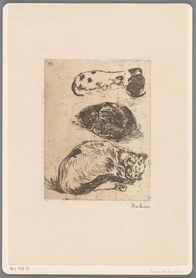 Studie av katter (original tittel) av Willem de Zwart (signed by artist)