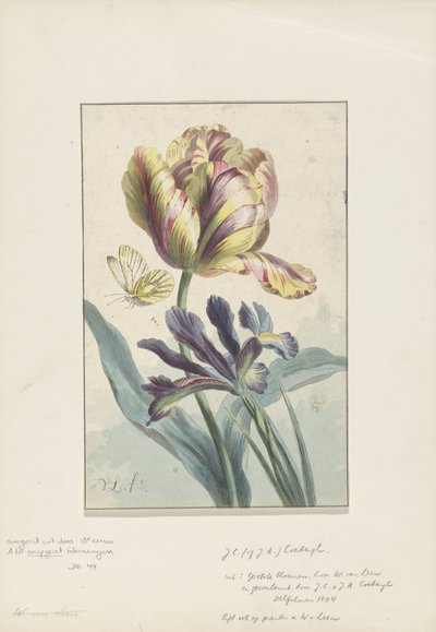 Tulipan og iris av Willem van Leen