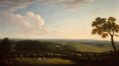 Omfattende skogkledd landskap med en fjern utsikt over en by (olje) av Joseph Mallord William Turner