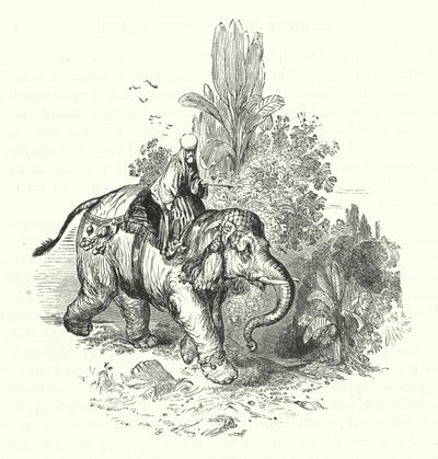'Abd-El-Kuddoos på elefanten (gravering) av William (after) Harvey