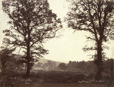 Landskap med almetrær, Ashdown, Storbritannia av William 2nd Earl of Craven