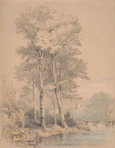 Llandovery Castle, Sør-Wales av William Alfred Delamotte