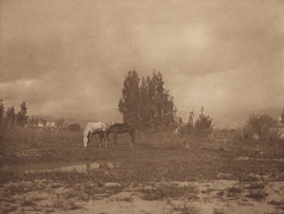 Pasadena landskap av William B. Post
