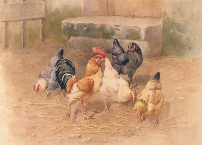 Kyllinger (akvarell med kroppsfarge på papir) av William Baptiste Baird
