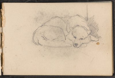Skisse av en sovende hund, 1879 ca av William Barnes Wollen