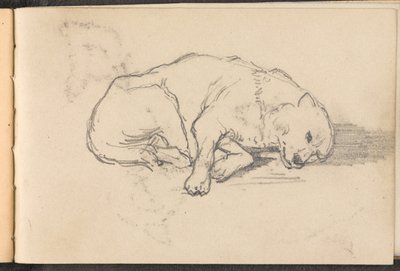 Skisse av en sovende hund, 1879 ca av William Barnes Wollen