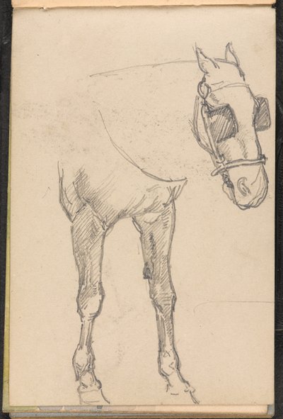 Skisse av hest med blink, 1879 ca av William Barnes Wollen