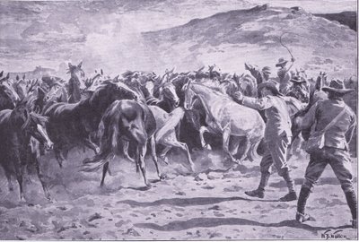 Fangsten av hestene i Brandwater-distriktet nær Fouriesburg: runding av flokken, illustrasjon fra After Pretoria: The Guerilla War, 1902 av William Barnes Wollen
