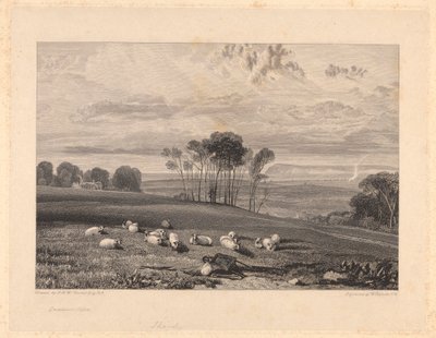 Crowhurst, Sussex av William Bernard Cooke